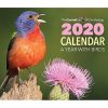 Free Cornell Lab of Ornithology’s 2020 Calendar