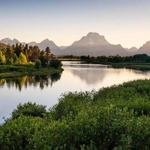 Free 4x6’’ Photo Prints at CVS