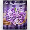 Free Baker Creek Seeds Catalog