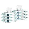 Free Seventh Generation Baby Wipes Pack