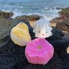 Free Bubbly Belle Bath Bomb Set