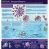 Free SARS-CoV-2 Poster and More for Institutions
