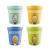 Free WildGood Plant-Based Ice Cream from Social Nature