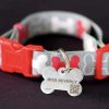 Free FidoAlert Pet Tag