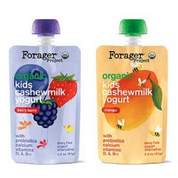 Free Forager Cashewmilk Yogurt from Moms Meet