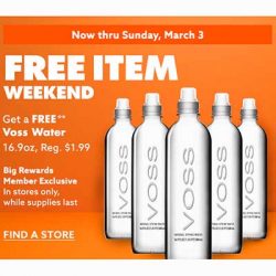 Free Voss Water at Big Lots