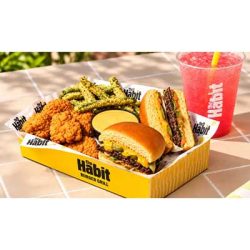 Free Meal at Habit